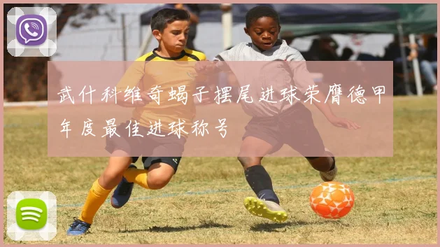 武什科维奇蝎子摆尾进球荣膺德甲年度最佳进球称号